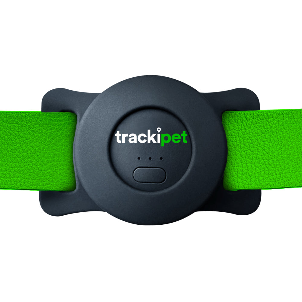 TrackiPet + 12 Months Plan - trackipet-be