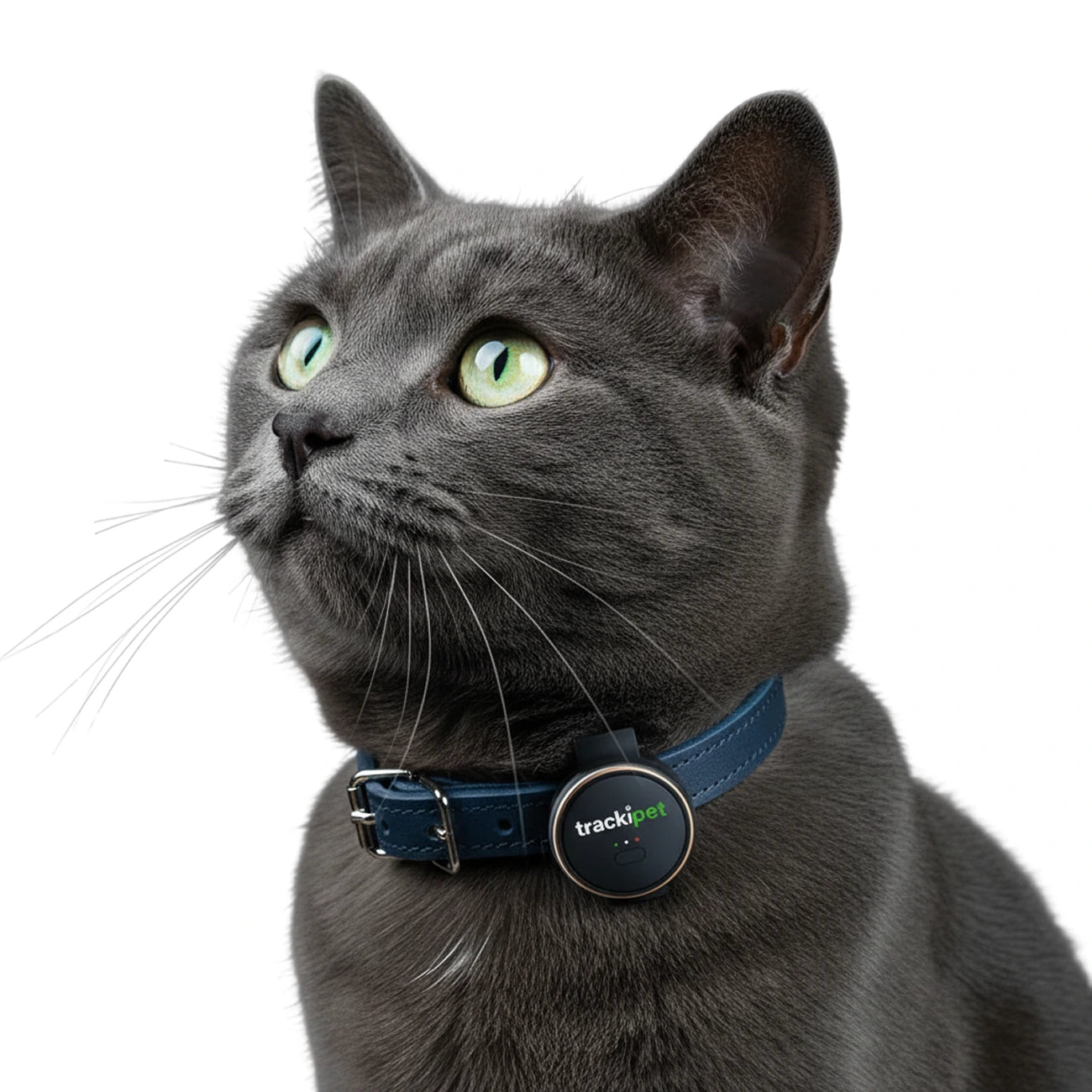 Trackipet for Cats